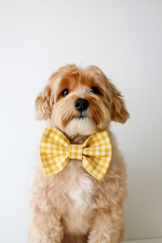 Ghingam Fabric Bow Ties for Pets